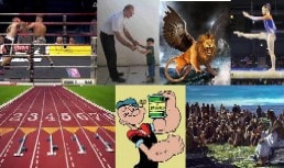 Timotei Studiul biblic